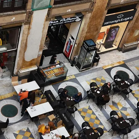 Maison Toledo 210 4*