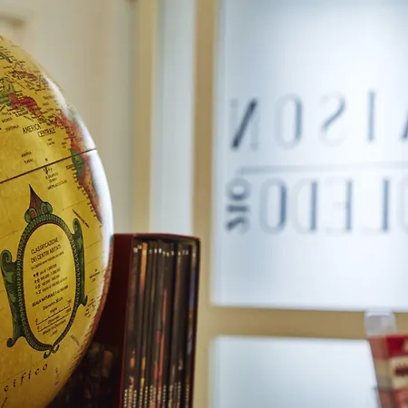 Maison Toledo 210 לינה וארוחת בוקר